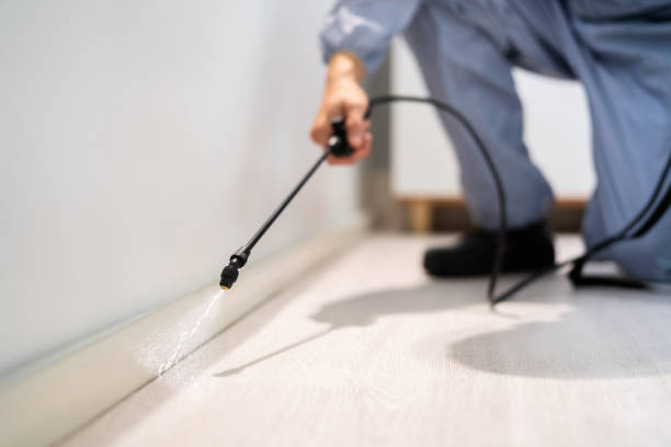 Bed Bug Pre-Treatment Preparation Assessment in Ferriday