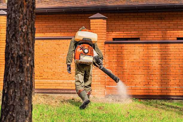 Bed Bug Clearance Verification and Documentation in Ferriday